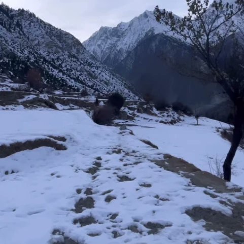 RGongloo's tweet photo. A snow-covered mesmerizing Bagrot Valley. Visit Gilgit Baltistan if you are looking for a snow this winter.
.
.
.
Explore Pakistan with @retgongloo 
For hotel booking visit.
Visit:https://t.co/Be6Ebrjm4n
To know more about services 
.DM/Inbox
#gilgit #discoverpakistan #gongloo https://t.co/llvXgpzUAd