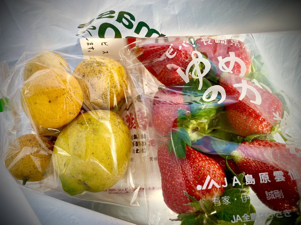 おいしい徳島名産品の酢みかん「スダチ」 - cureco beta