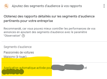 Cristina Google Ads / Tracking FR/ES/EN/DE tweet media