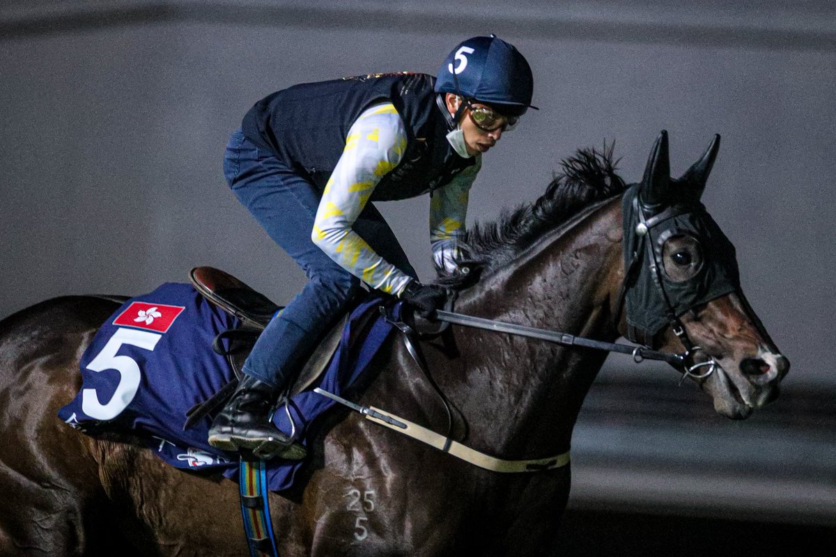 Golden Sixty’s after more history with a <a href="/LONGINES/">Longines Watch Co.</a> Hong Kong Mile hat-trick. #HKIR #HKracing 

<a href="/SchusterDeclan/">Declan Schuster 蘇時達</a> reports.

Read here 👉 racingnews.hkjc.com/english/2022/1…