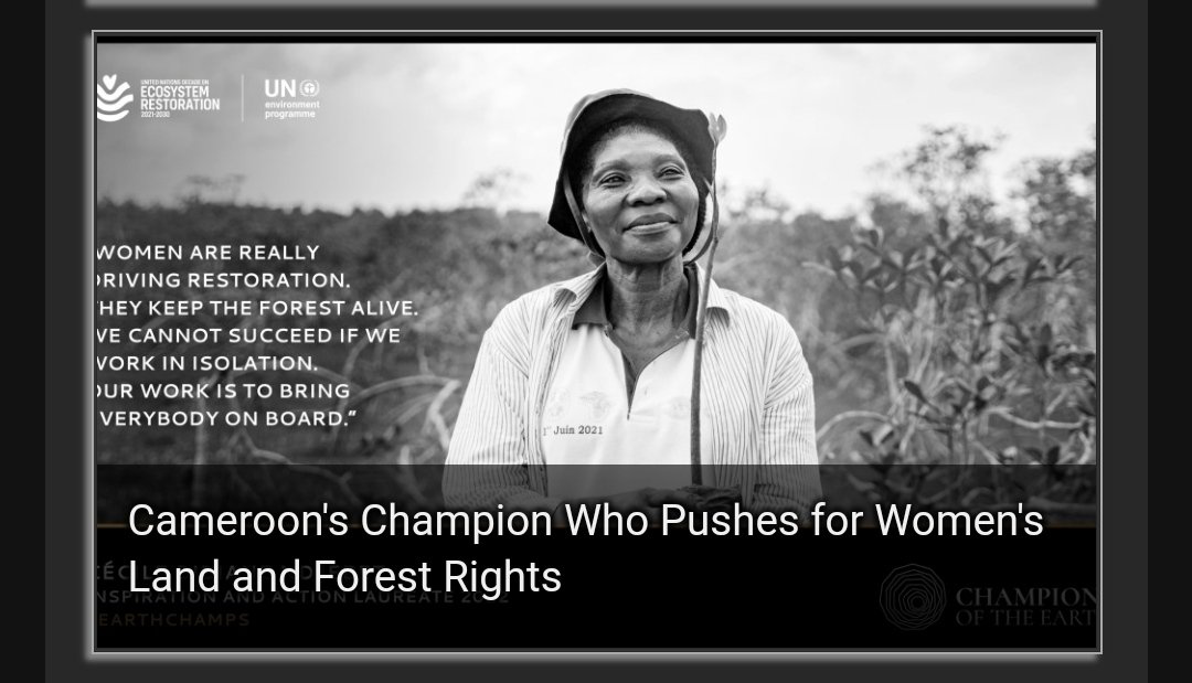 BrownHook1's tweet photo. A Hero in her own unique way...@greenwebfound #ClimateAction  #ClimateJustice https://t.co/UNmW0dTXPC