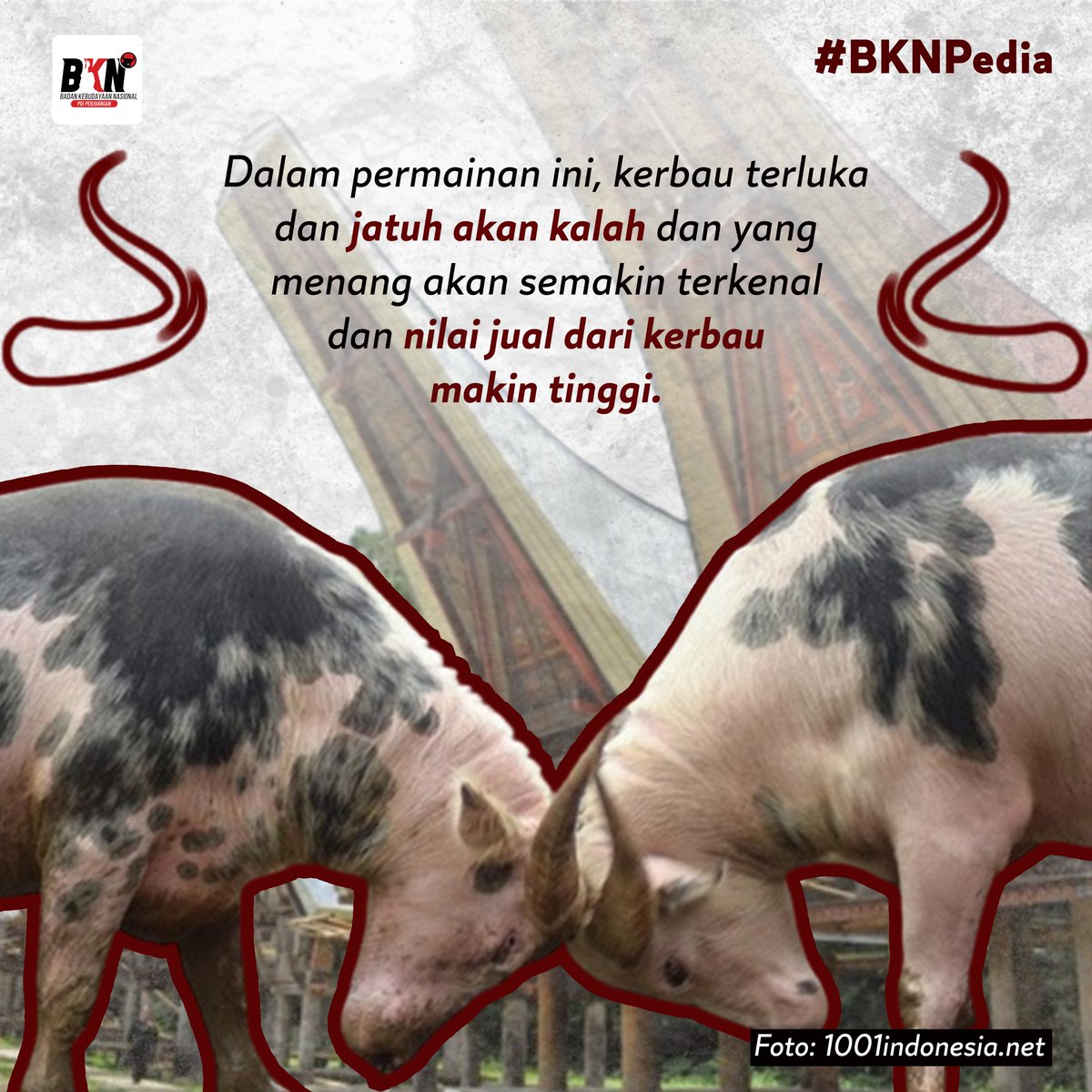 bknpusat1's tweet photo. Tradisi Mapasilaga Tedong atau Tedong Silage merupakan suatu atraksi yang dilakukan dalam rangkaian upacara kematian. Tradisi ini berupa adu kerbau atau dalam Bahasa toraja tedong. 

#BKNPedia
#BKNPDIPerjuangan
#PDIPerjuangan
#SolidBergerak
#MapasilagaTedong https://t.co/fj259xsQwm