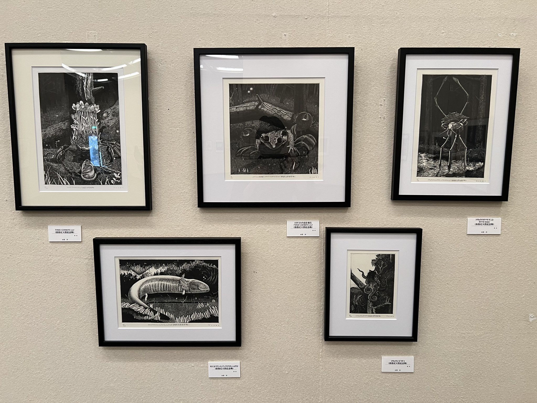 本間洋 (you_honma) / Twitter