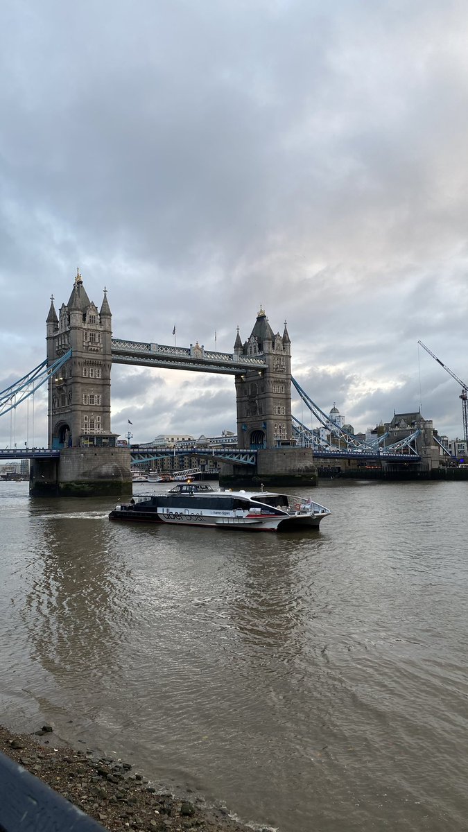 ماجد العصيمي tweet media