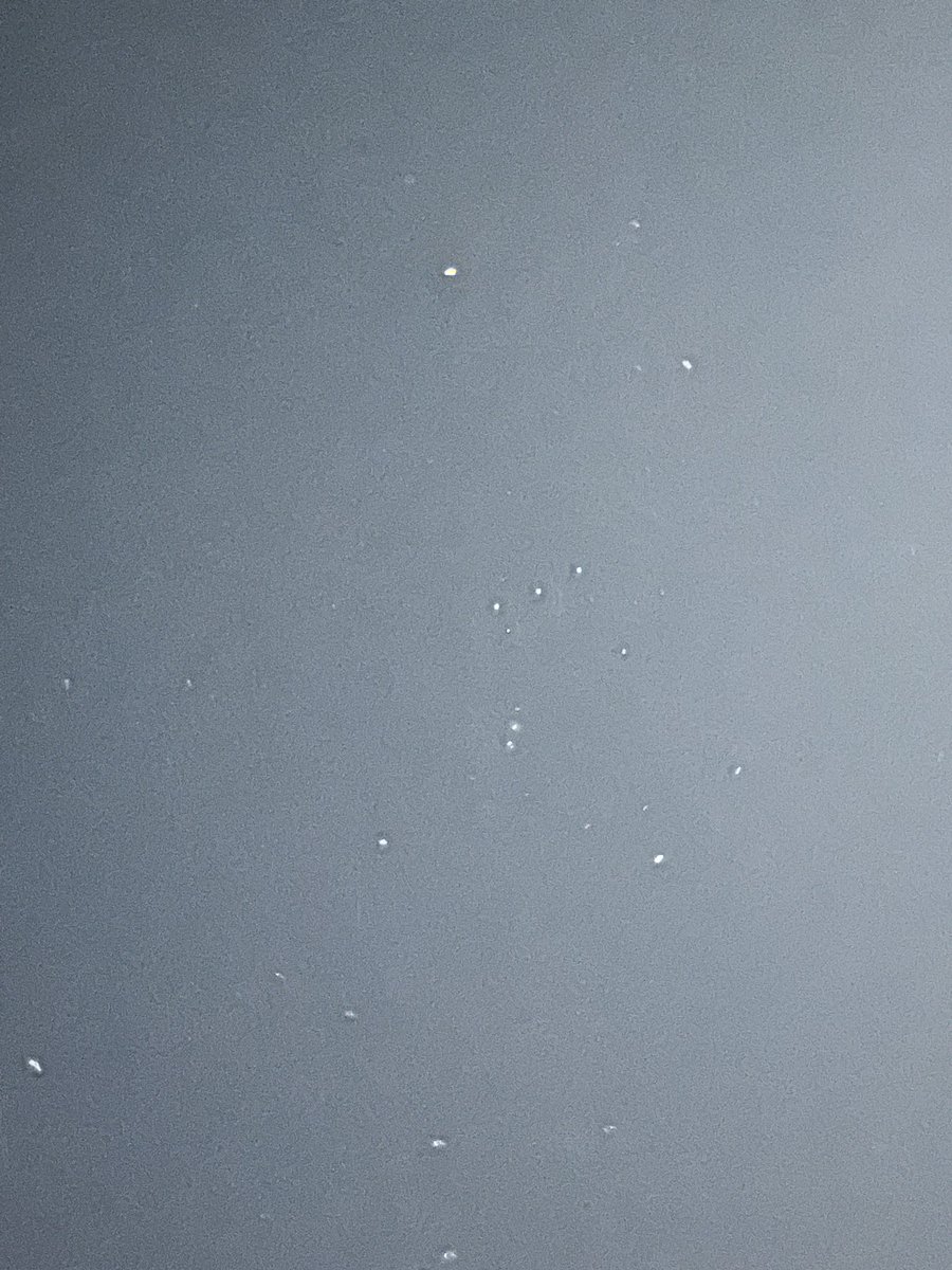 Yup he still says hi