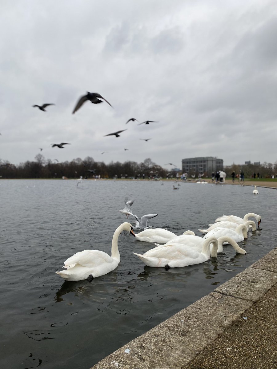 ماجد العصيمي tweet media