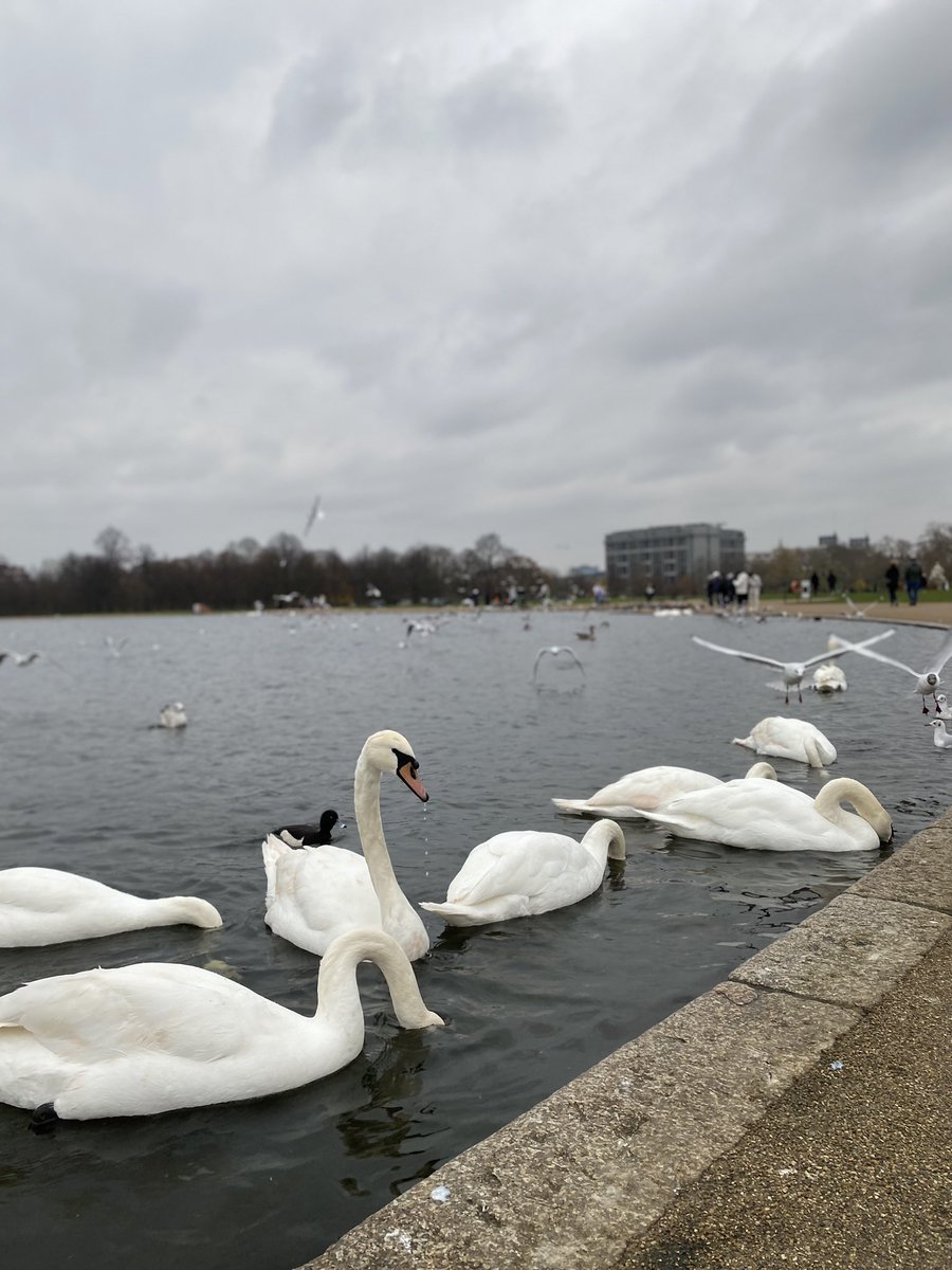 ماجد العصيمي tweet media