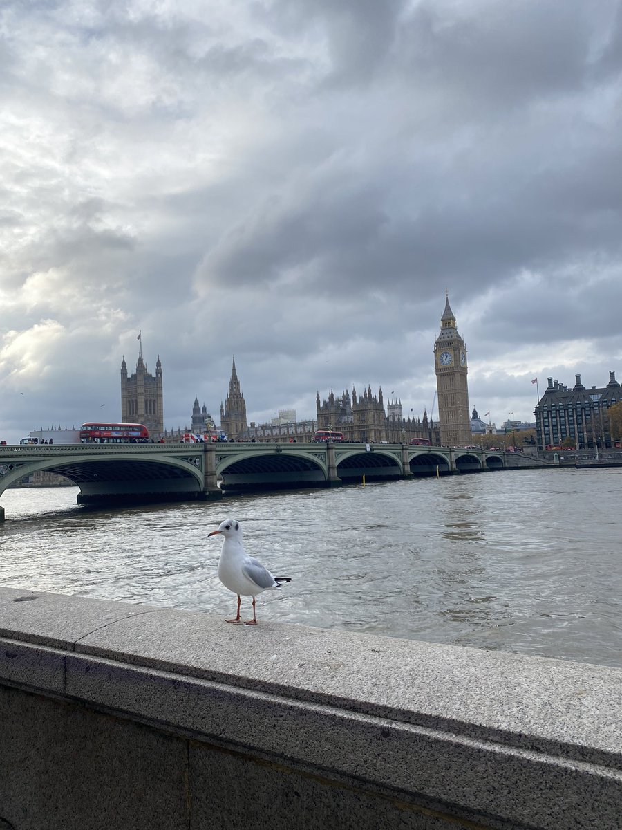 ماجد العصيمي tweet media