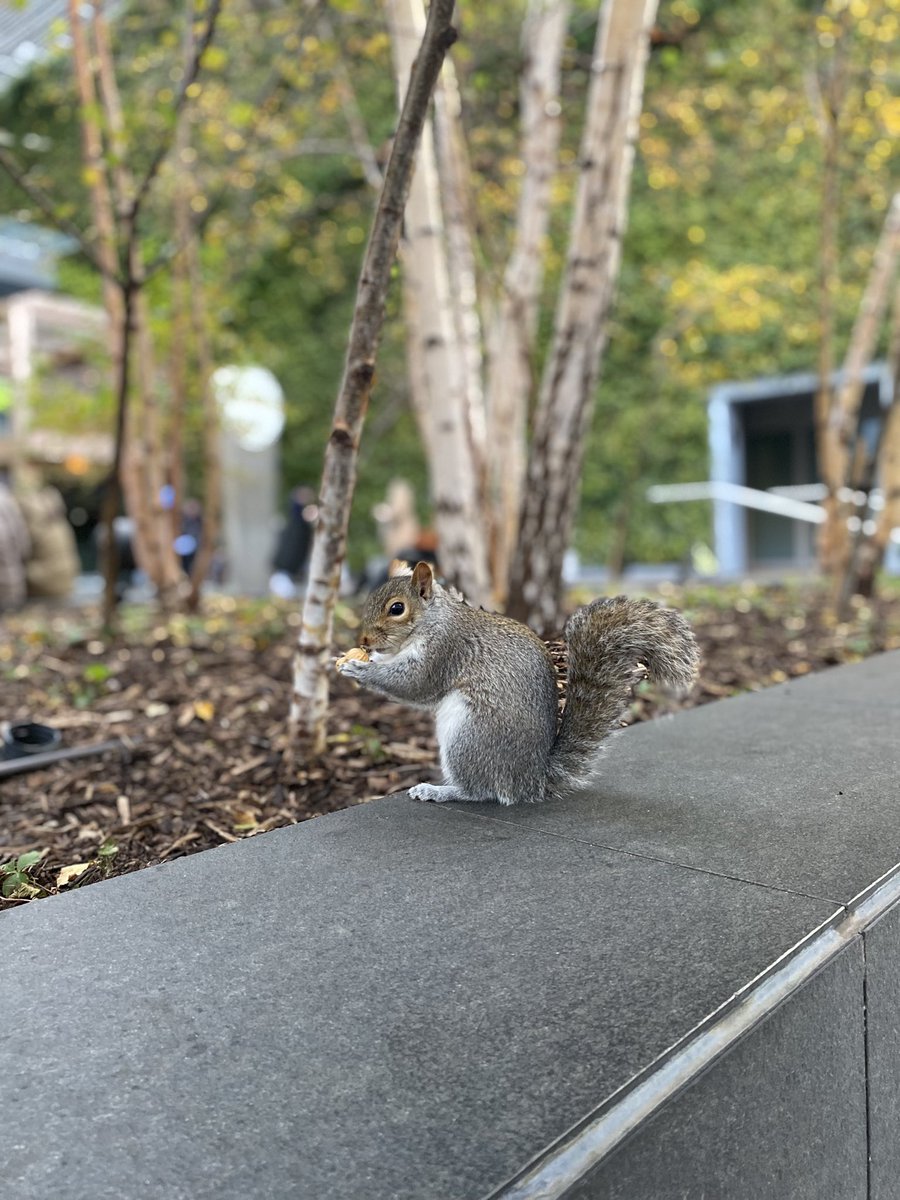 ماجد العصيمي tweet media