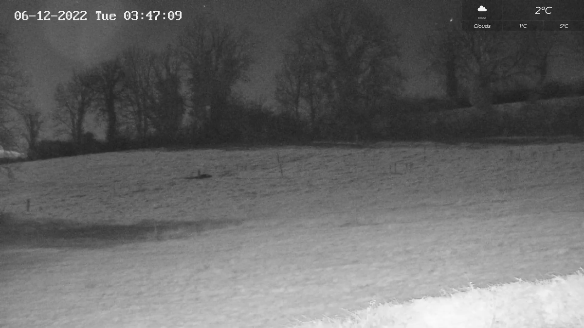 CavanWildlife's tweet photo. Wow , look how bright the Moon was! https://t.co/u5BIfcNI9j