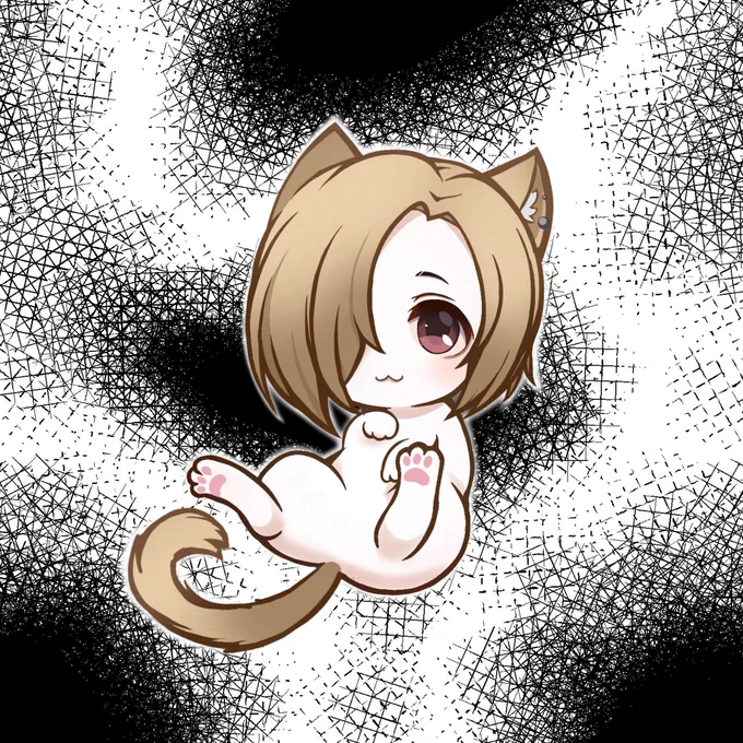 白坂さんちのこうめにゃん 