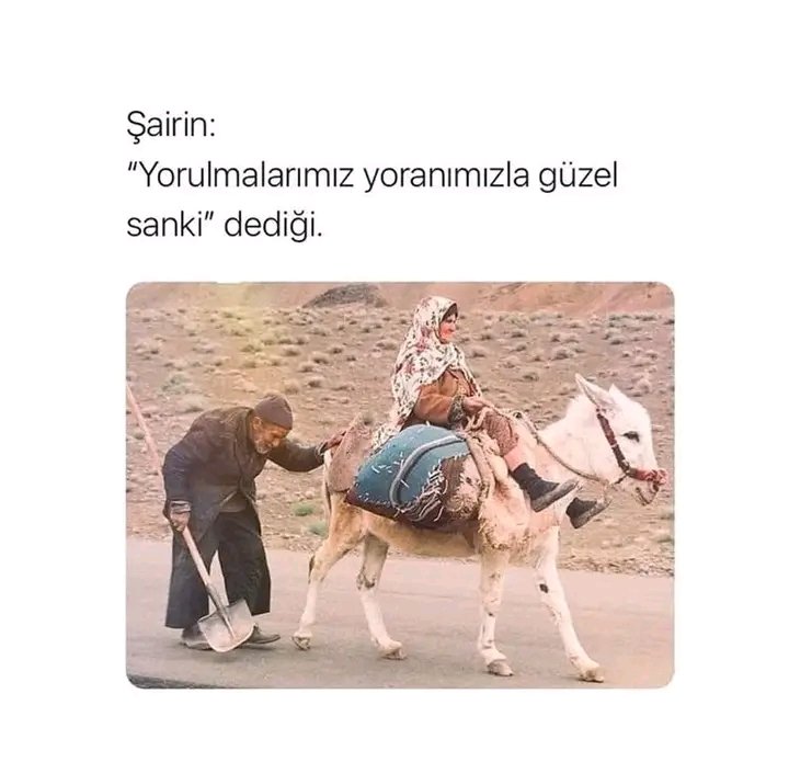 Günaydın