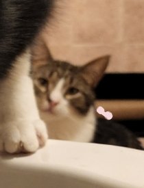EggleBagel's tweet photo. Even in Mondai's photos egg takes the spotlight 🥚 https://t.co/Se5VsqQWeH