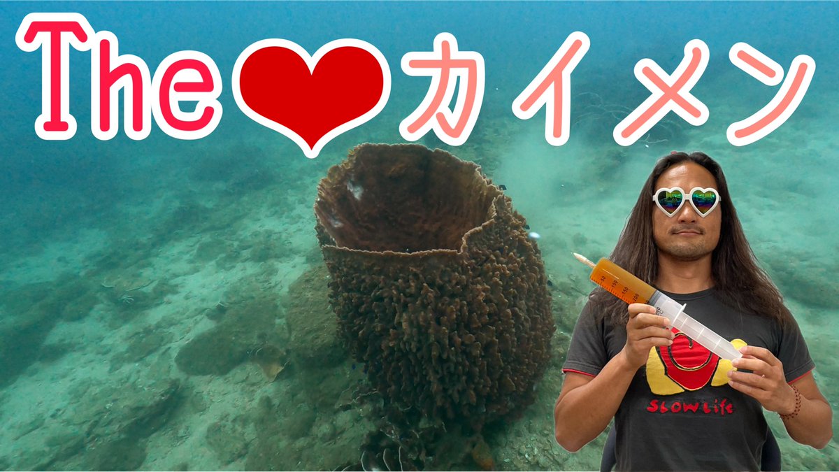 伊勢研究員によるカイメンの解説動画1が公開されました！ぜひご視聴ください

The ♡ カイメン　      The ♡ Sponge youtu.be/_FbSiQNWxWY <a href="/YouTube/">YouTube</a>より