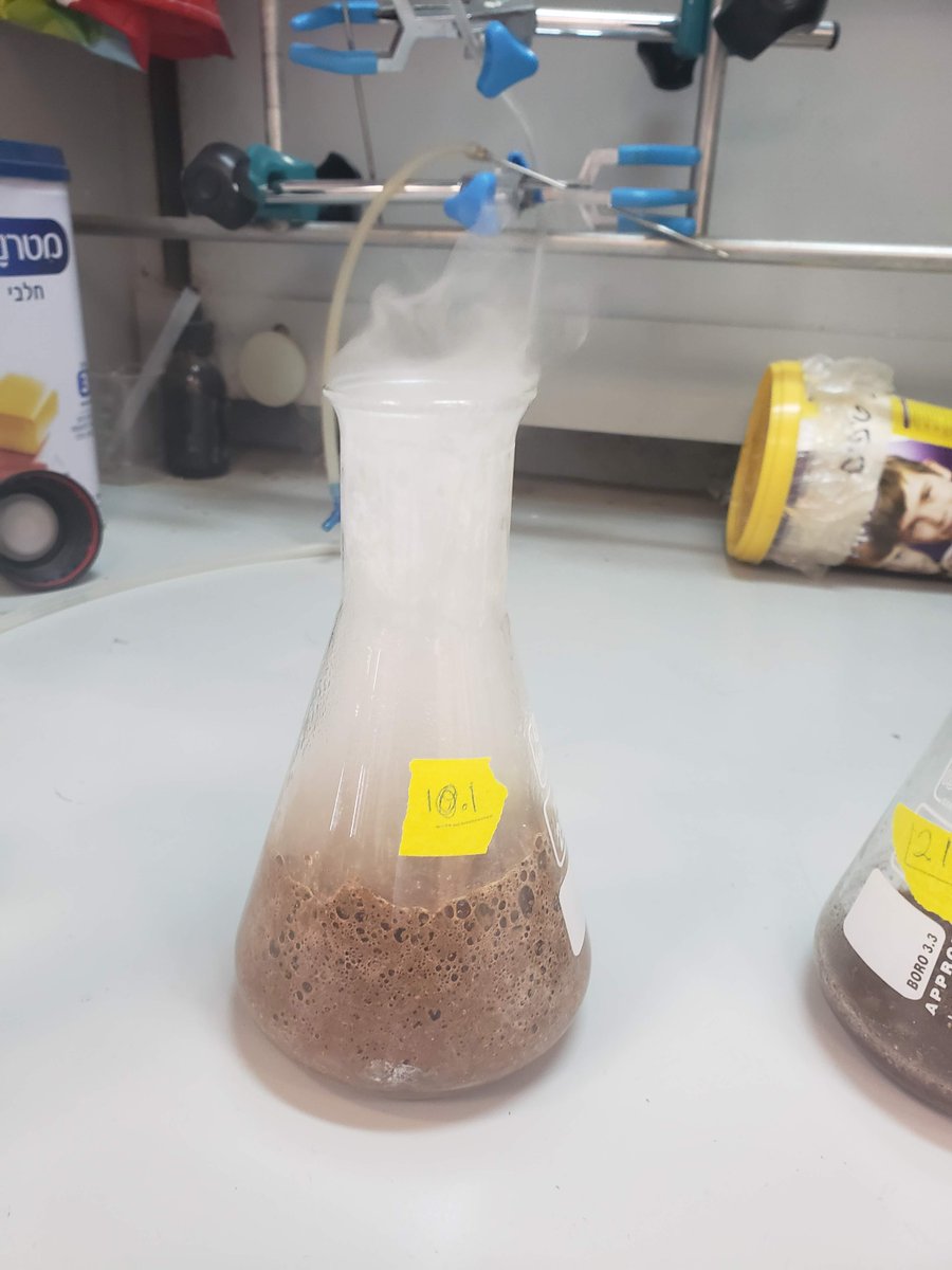 Emily Tran tweet media