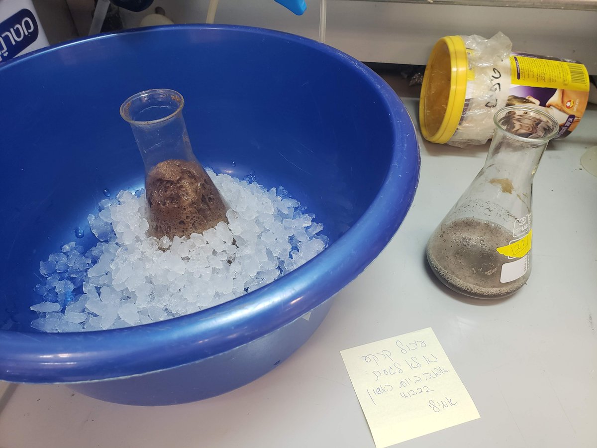 Emily Tran tweet media