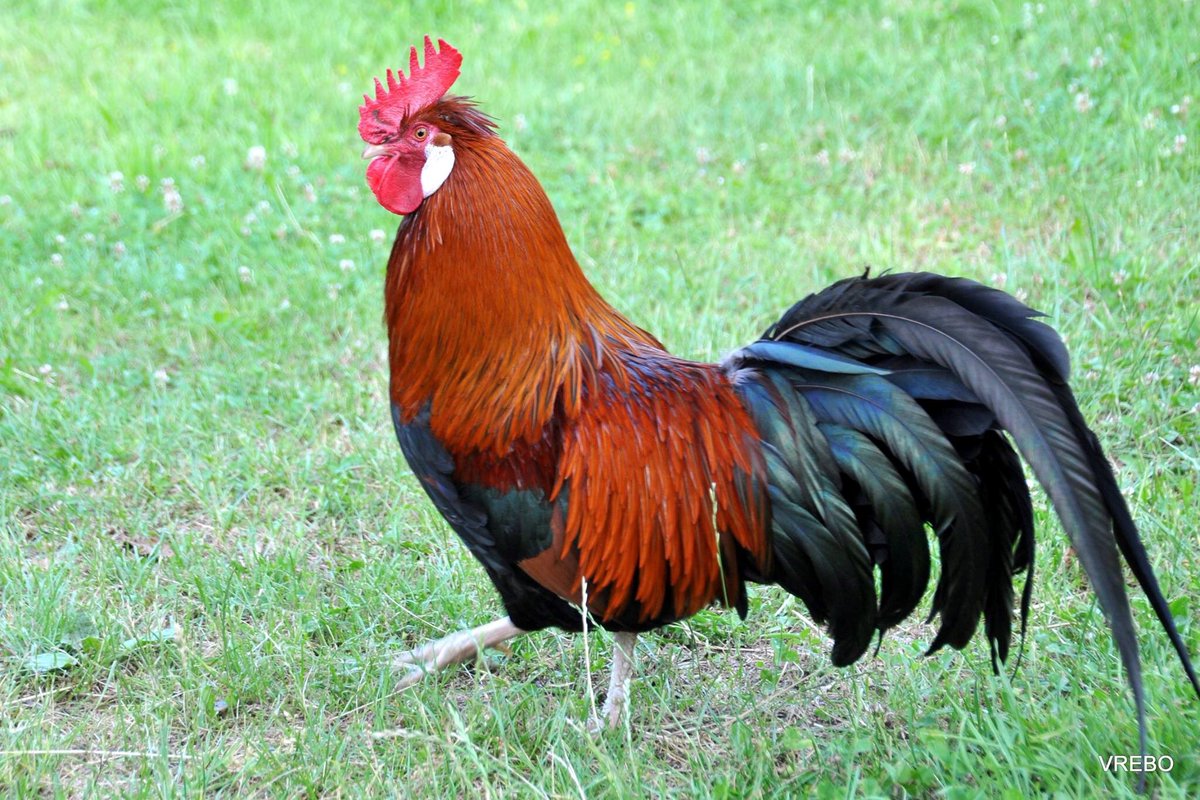 Simona9999999's tweet photo. I wasnt born on a farm but I sure know hov to raise a cock
Good morning! 😁😋 https://t.co/nDayJuMLnL