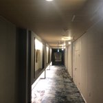 錦鯉 泳のツイート画像