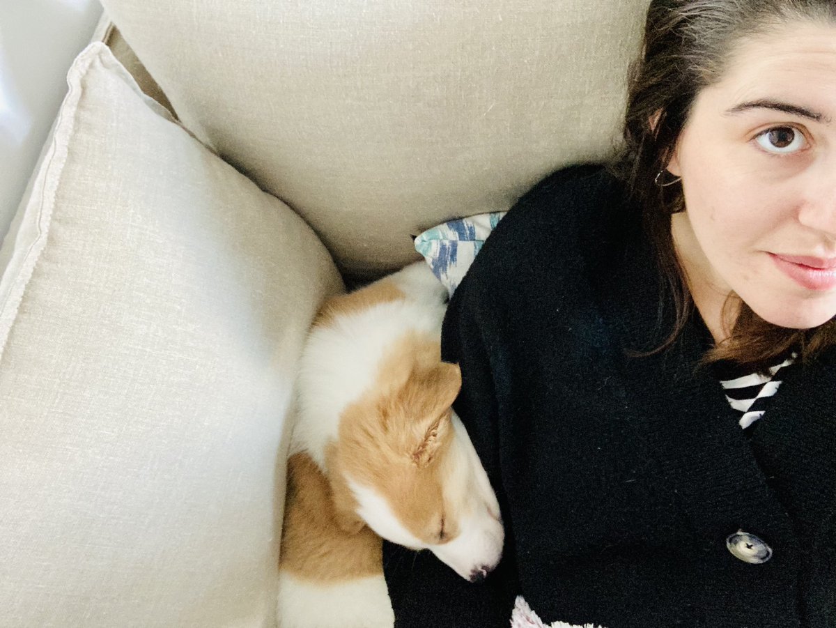 I la vida segueix volent-me dir coses, amb una gossa que fa anys el dia de la constitución. En fi, almenos, alguna cosa a celebrar. Per molts anys fent quilòmetres, Cricatoi! 💗🐶 #1anyDeCrica