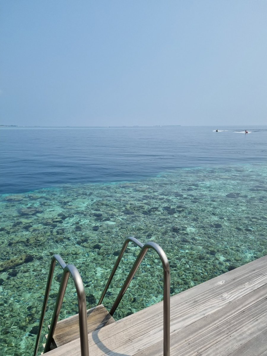 Dan Jones tweet media