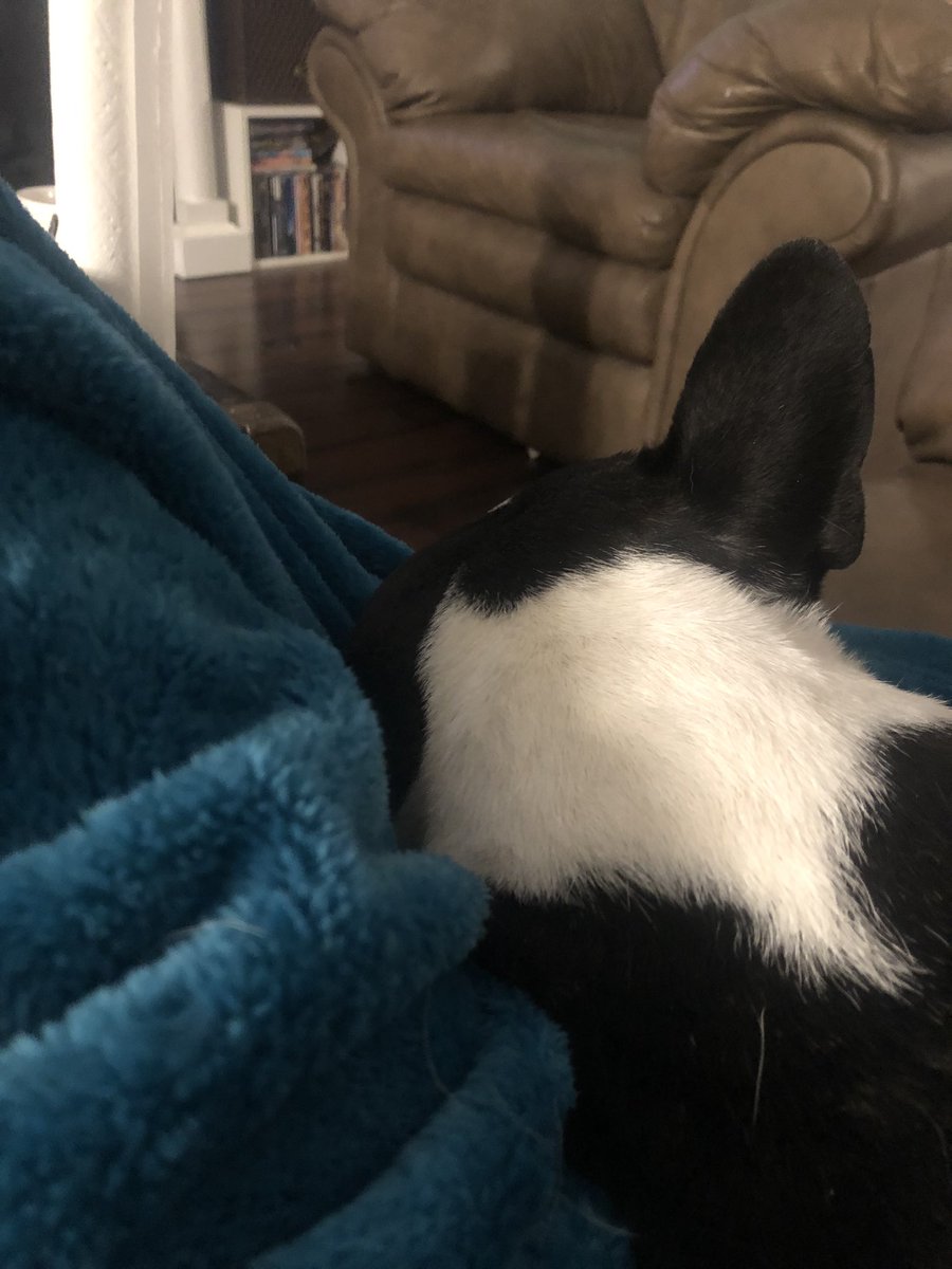 福利姬Wendy分享的黄推图片2 - 网红私拍内容