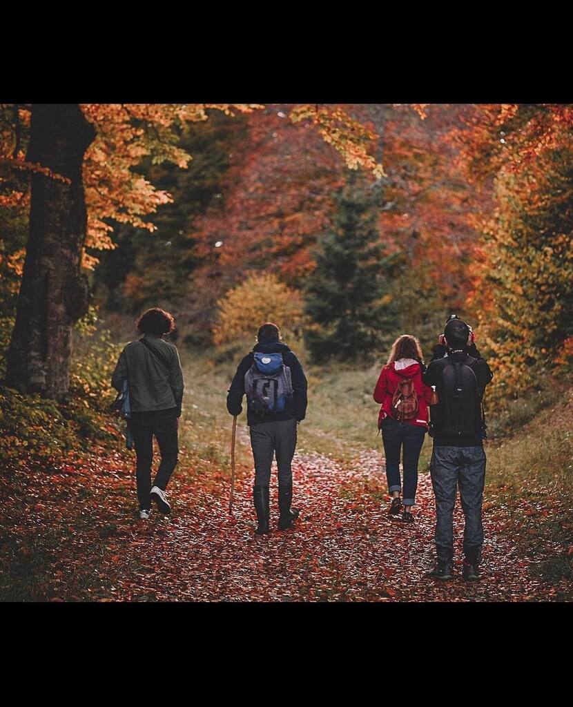 Instagramers France (@igersfrance) on Twitter photo 