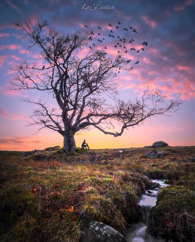 CONCOURS PHOTO - #MaPauseAubrac 📸

Voici une petite sélection des superbes photos automnales publiées pour le concours🍂 🤩

Dans l’ordre, admirez les photos de :
<a href="/oli/">Oli</a>.wood48
<a href="/guillaumepayen/">guillaume payen</a>
@toulou_zen
@mily_et_une_patisserie
@fafaille_
@un_regard_pou… instagr.am/p/Cl0UcJSKvyl/