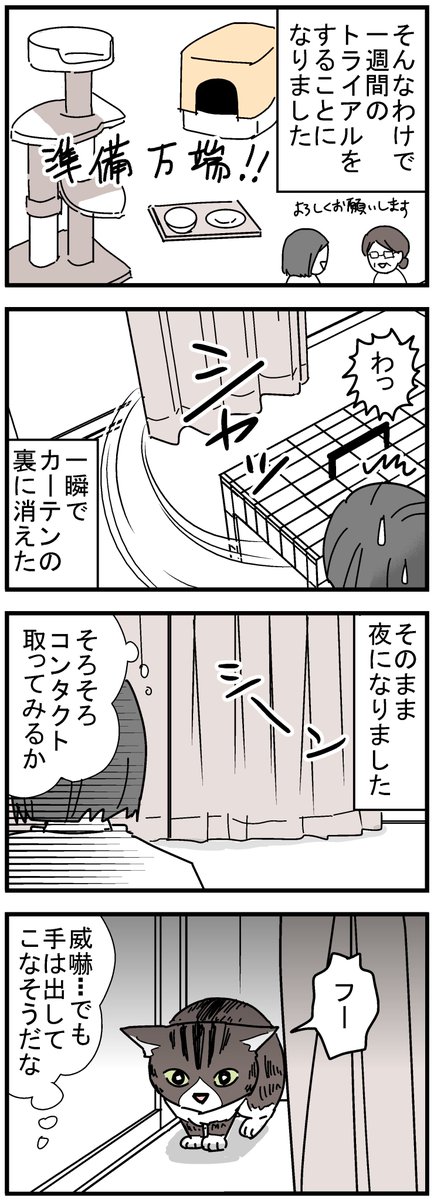 保護猫だった子が我が家のトットになるまでの話1/2
#猫漫画 #保護猫 