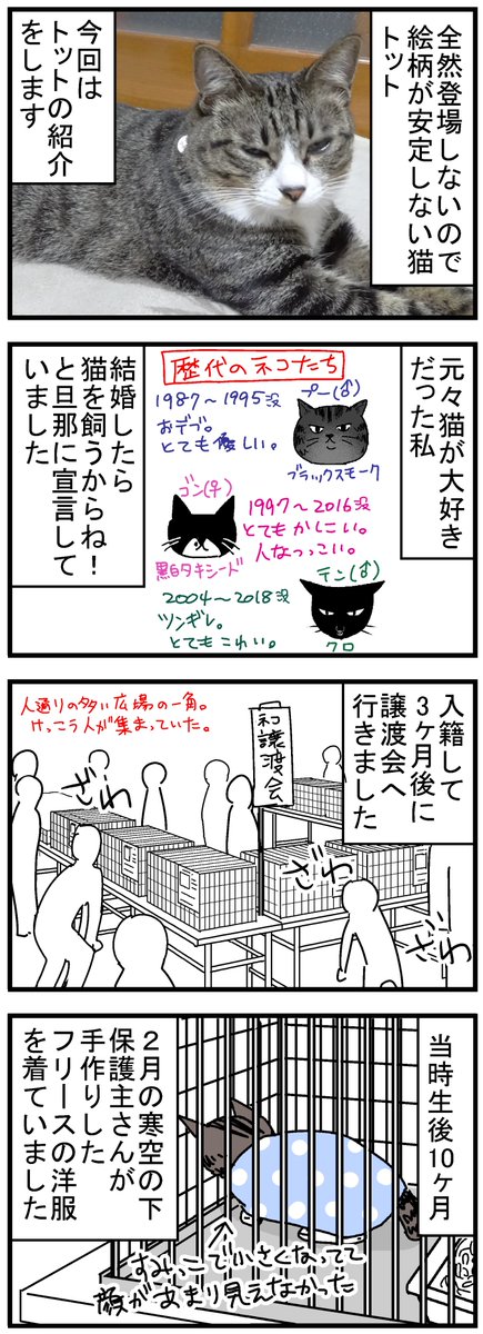 保護猫だった子が我が家のトットになるまでの話1/2
#猫漫画 #保護猫 