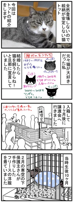 保護猫だった子が我が家のトットになるまでの話1/2
#猫漫画 #保護猫 