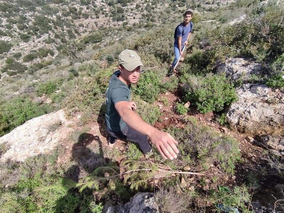KhalilAsslan's tweet photo. דווח פלסטיני: "מתנחלים כרתו עצי זית בקרוואת בני חסן, מחוז סלפית" https://t.co/ODBXG89hAa