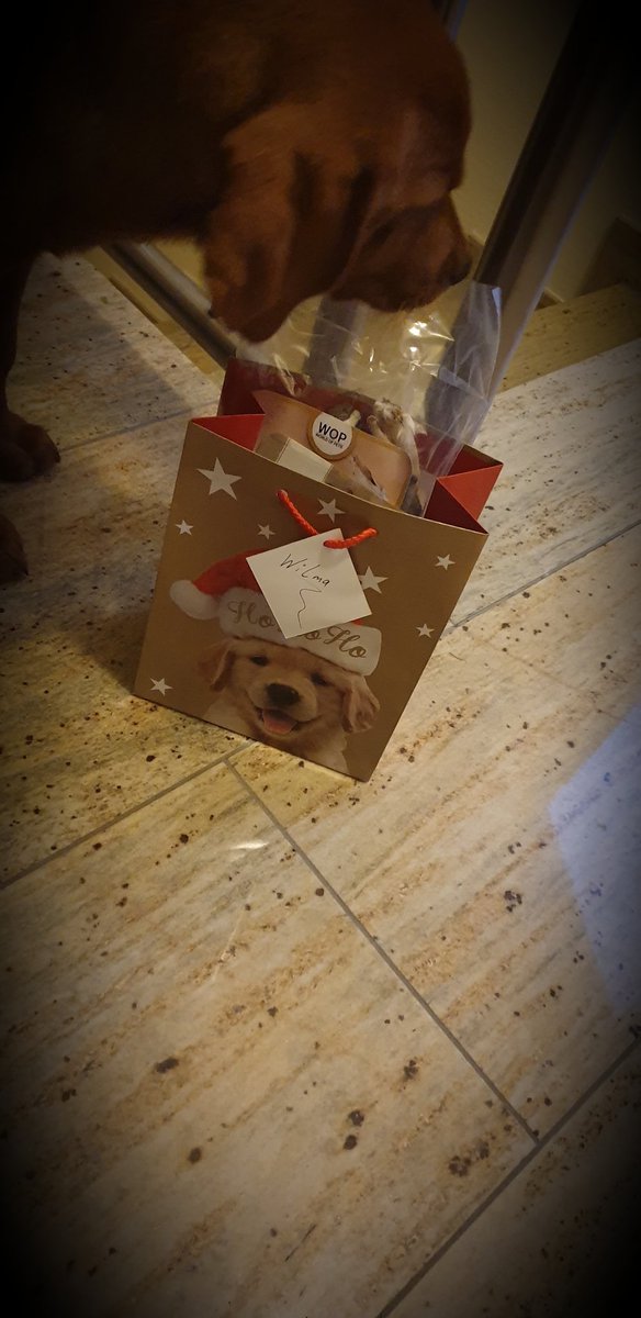 🐾 what is that????