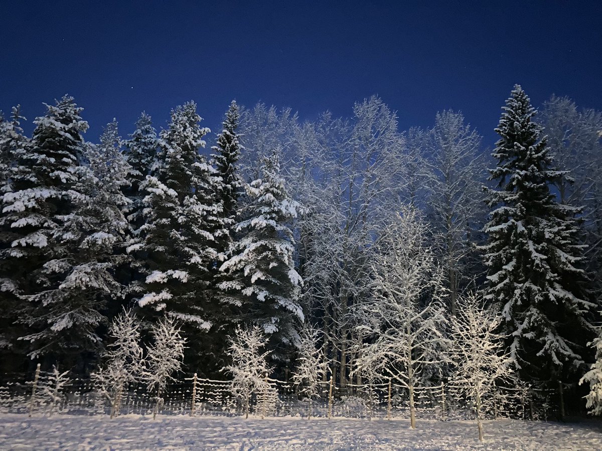 Irgendwo hier muss sich doch der Nikolaus verstecken…