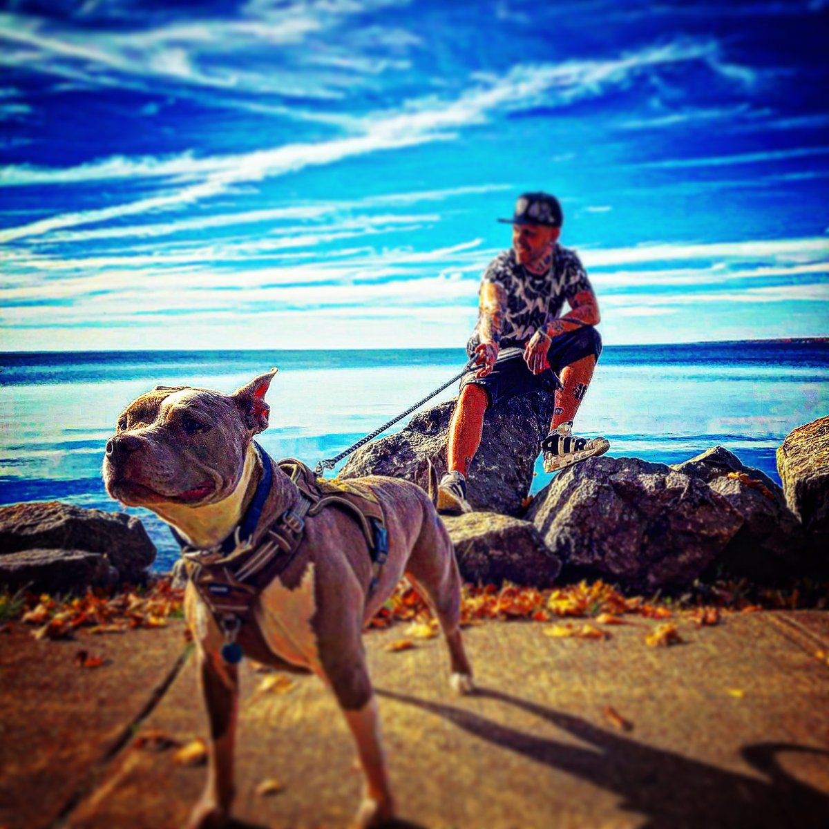 Thebrolicbuldge’s pics and videos