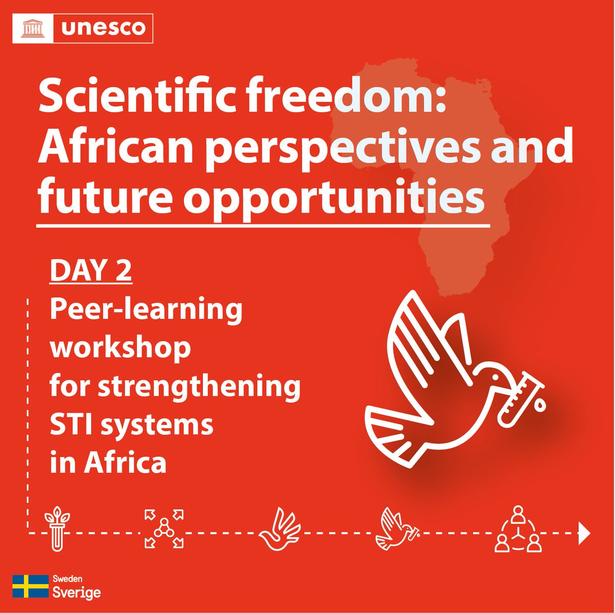 unescoROSA's tweet photo. #HappeningNow: @unescoROSA & @Sida are leading a discussion on African perspectives and future opportunities in Scientific Freedom on the sidelines of the @WorldSciForum in #CapeTown, South Africa.
#wsf2022 #Science #SocialJustice #WorldScienceForum #ScienceforSocialJustice https://t.co/eBjmq7xOVK