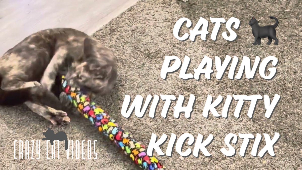 crazycatvid's tweet photo. Purchase Kitty Kick Stix on Amazon: https://t.co/w7RiNUZgvq #kittykickstix #catsticks #cattoy #CatsOnTwitter https://t.co/BTJWUhdPHw