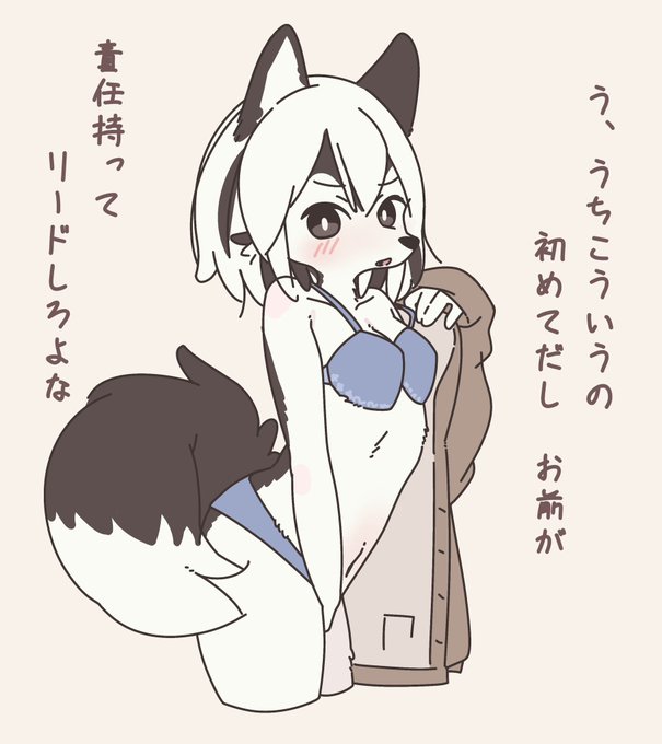 最近色々なシベリアンハスキー 