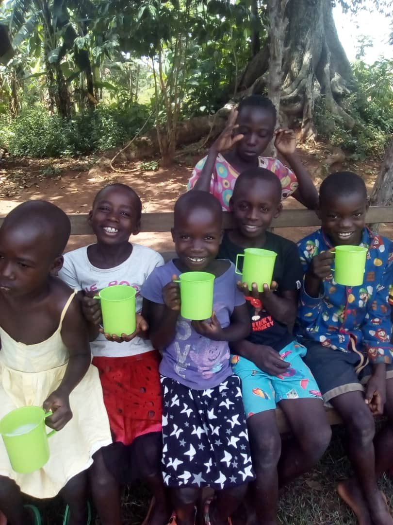 reachfoundationuk tweet media