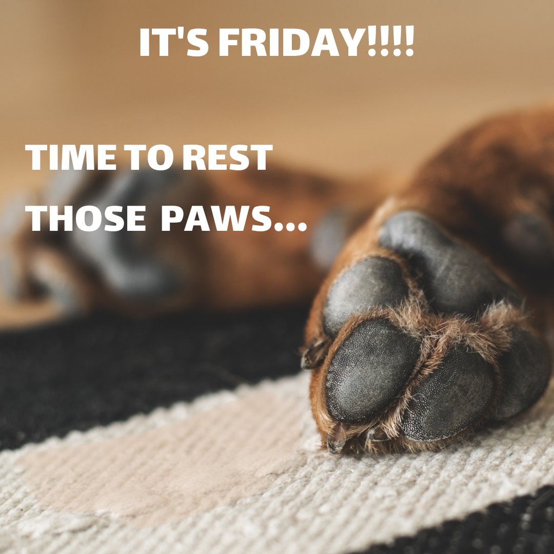 My Pet Walker tweet media