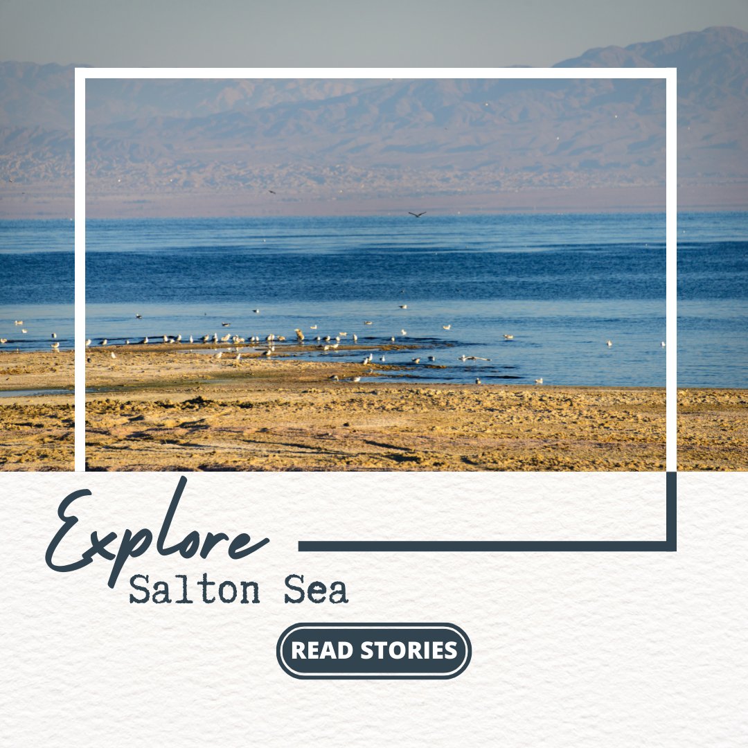 Jim Bremner tweet media