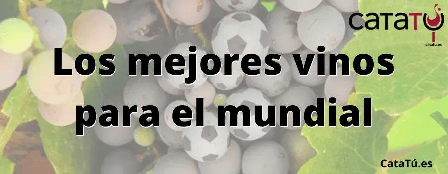 Los mejores vinos para ver los partidos del mundial de futbol en CataTú.

buff.ly/3iACZFT 

<a href="/bodegasbalmoral/">Bodegas Balmoral</a> <a href="/Finca_La_Jaraba/">Pago de La Jaraba</a> <a href="/familiatorres/">Familia Torres</a> <a href="/Altolandon/">ALTOLANDONWINES</a> <a href="/altapavina/">Alta Pavina</a> <a href="/BodegaMarcoReal/">Bodegas Marco Real</a> 

#Mundial2022 #espanamarruecos #cuartos #LaRoja