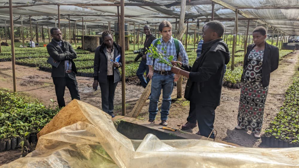 cafe_tanzania's tweet photo. We are delighted to have a field visit with Mr. Bruno Ribeiro from @JDE Jacob Douwe Egberts company to our project area in KAGERA, Tanzania. JDE is the co-funder of the 5 (2019-2024) years project named “Rehabilitation and Rejuvenation of Robusta Coffee Production” .
#JDE https://t.co/UxtxuMqQOl