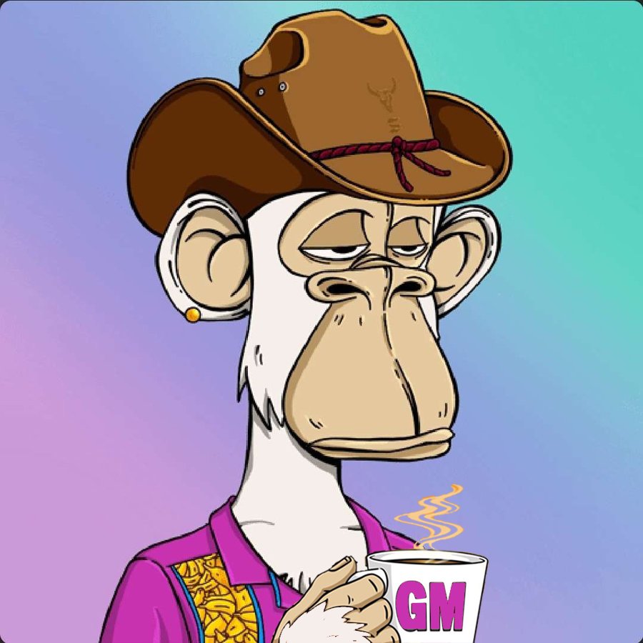 Gm 
Is a good day for a Gm back 😏
What do you think <a href="/RmRoscar660/">Ross Meyer</a> ?