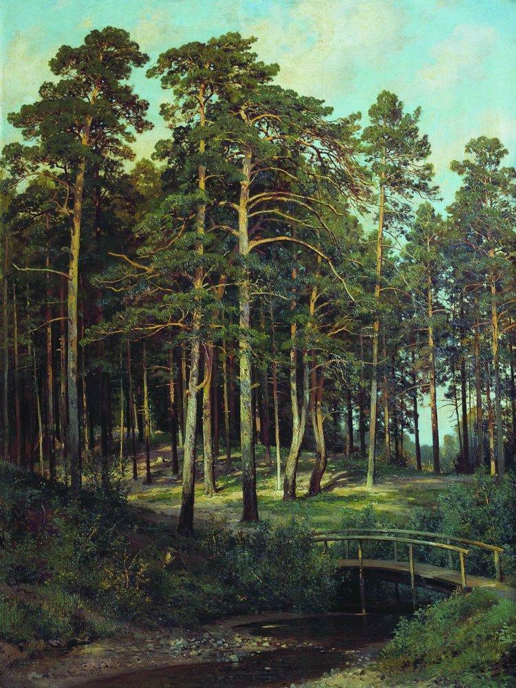 artistshishkin's tweet photo. Bridge in the Forest, 1895 #ivanshishkin #shishkin https://t.co/vMdMTOxlDZ https://t.co/BCDzwfUrRK