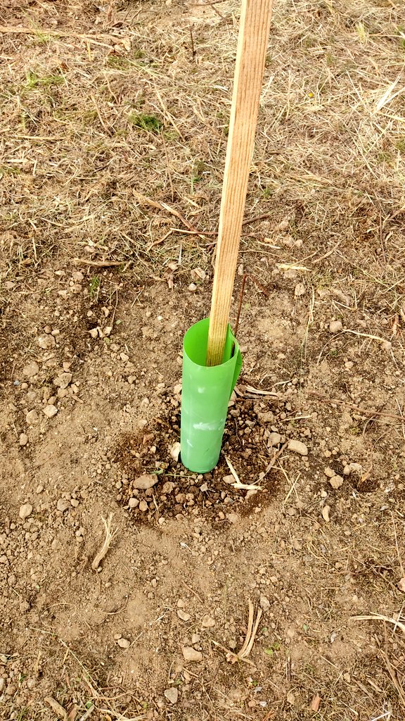 GEIFVila's tweet photo. 💚Avui hem tornat amb @adfCarrerada a repassar ⛏️ la zona de la plantada🌳 i estem molt contents de veure com hi ha qui ha tornat a regar el seu arbre
La ciutadania es fa seu el #territori
#parcnatural #amor
@xarxadeparcs https://t.co/Z85cDNnA29