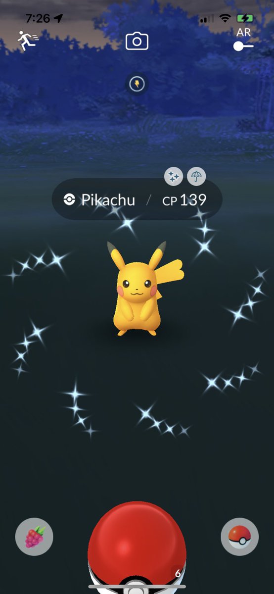 milieva13's tweet photo. Look who #sparkled for me this morning! Such a cutie!!! #pikachu #wild #shiny #PokemonGO #CatchThemAll #ShinyCheck https://t.co/HjcFMVW8kb