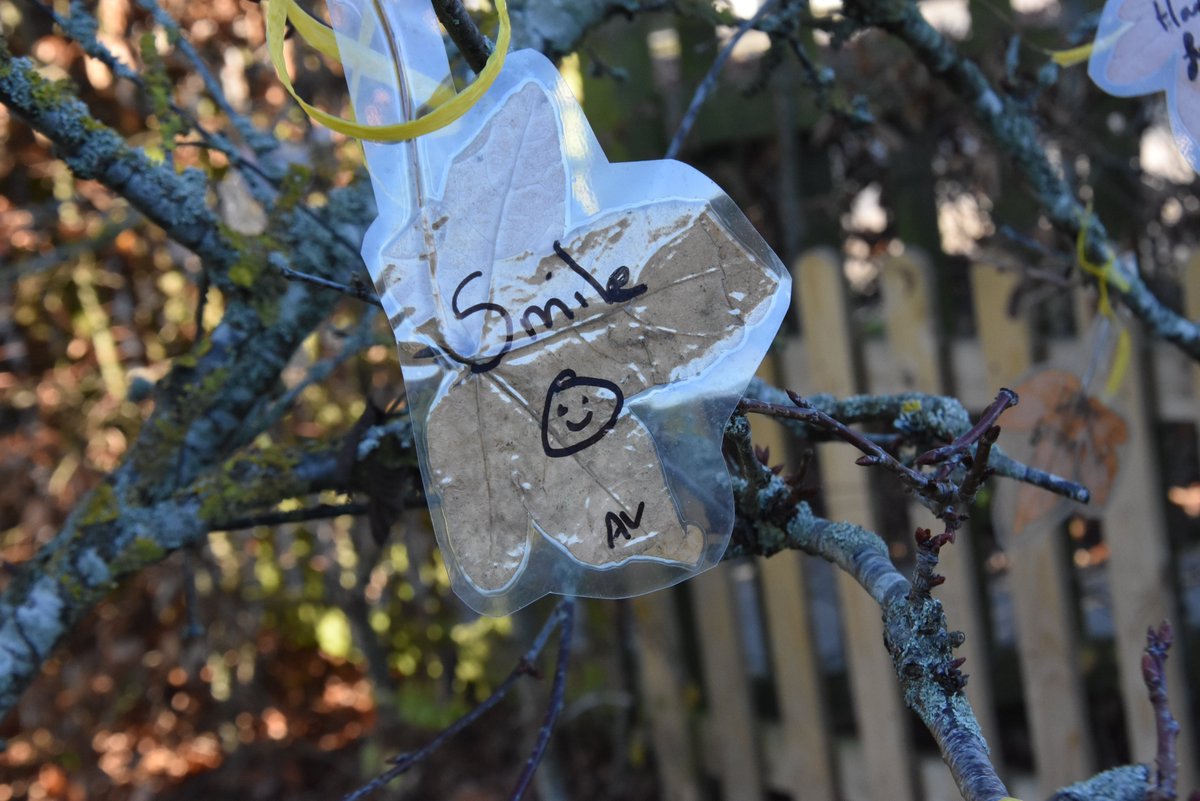 manorprep's tweet photo. Our kindness tree is growing strong. Many kind messages have been added to the branches & lots of toys have been donated to the Abingdon Toy Drive - thank you! The last day to donate a toy is tomorrow.
#ManorPrep #Abingdon #Charity #Toys #ToyDrive #Christmas #KindnessTree https://t.co/Zw1cPSTXtr