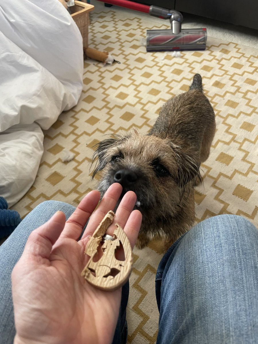 Today I am mostly guarding a poorly Hoosis with a side order of eating Christmas decorashuns. Busy busy. #BTPosse