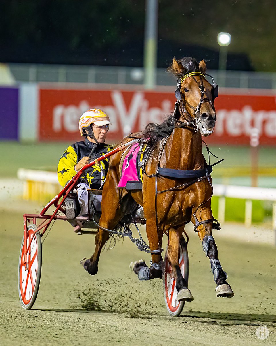 _HamiltonCC's tweet photo. Well we had ZERO birthday luck with our 2 runners at @gloucesterpark, but we did manage to snap this shot of our girl Valhalla Angel off the arm…
#HarnessRacing #HorseRacing #TheTrots #SportsPhotography #PerthPhotographer #LoveTheHorse #EquinePhotography #HorsePhotography https://t.co/25q0ZicpO6