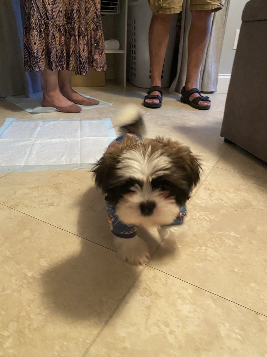 jaylinbl's tweet image. Mango Maui 🥭